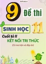 10 Đề thi Sinh Học 11 cuối học kì 2 có Ma trận & Đáp án (Kết nối tri thức)
